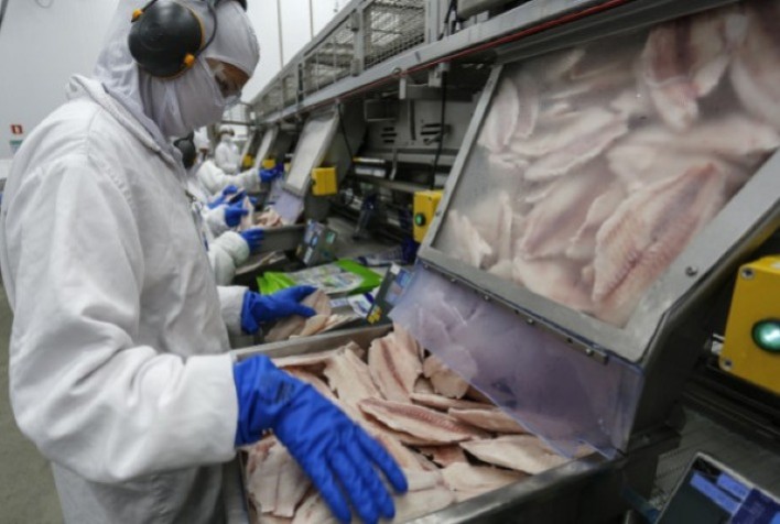 Exportação de Pescados do Paraná Cresce 20% no Primeiro Semestre de 2024