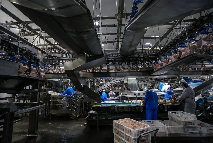 Carne de Frango: Uma Proteína em Expansão na Alimentação Brasileira