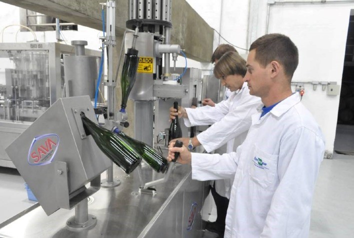 Vinícola Brasileira Inicia Pesquisa Pioneira com a Embrapa para Criar Vinhos Exclusivos