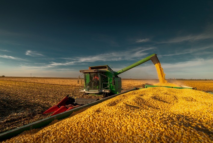 Colheita da Safrinha de Milho em Uberlândia (MG) Está Quase Concluída