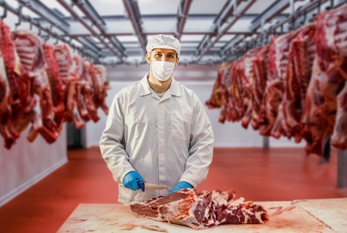 Mato Grosso: O Gigante da Indústria da Carne