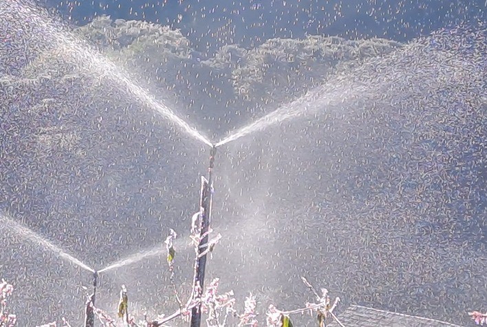 Tecnologia de Irrigação Minimiza Prejuízos Causados por Geadas e Mostra Resultados Promissores