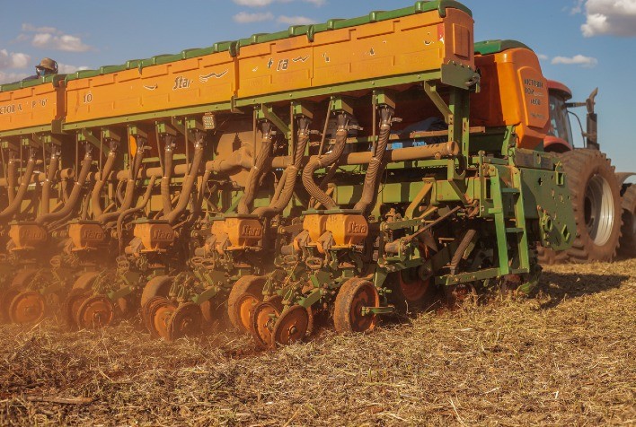 Plantio Escalonado: A Necessidade de Manejo Nutricional Preciso para Maximizar a Eficácia