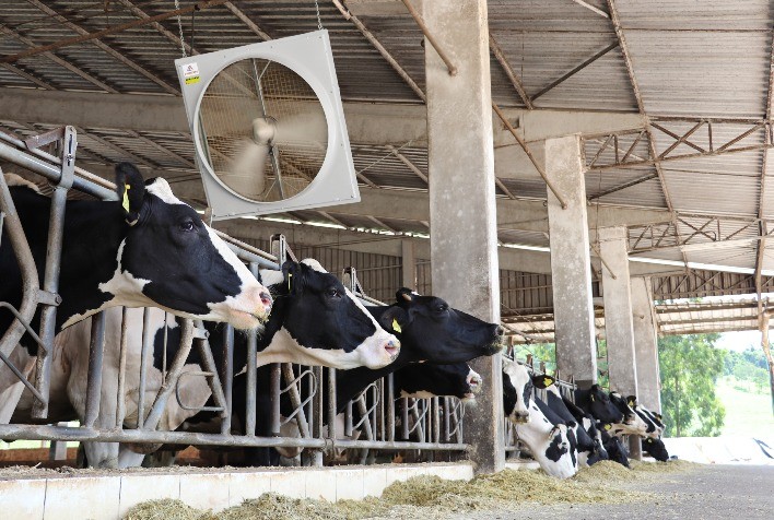 Corti Avioeste Inaugura Presença na Pecuária Leiteira na Agroleite