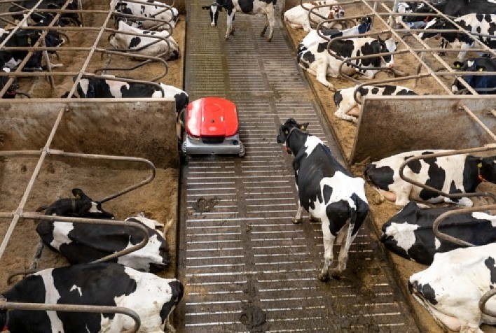 Lely Apresenta Inovador Robô de Limpeza no Agroleite 2024