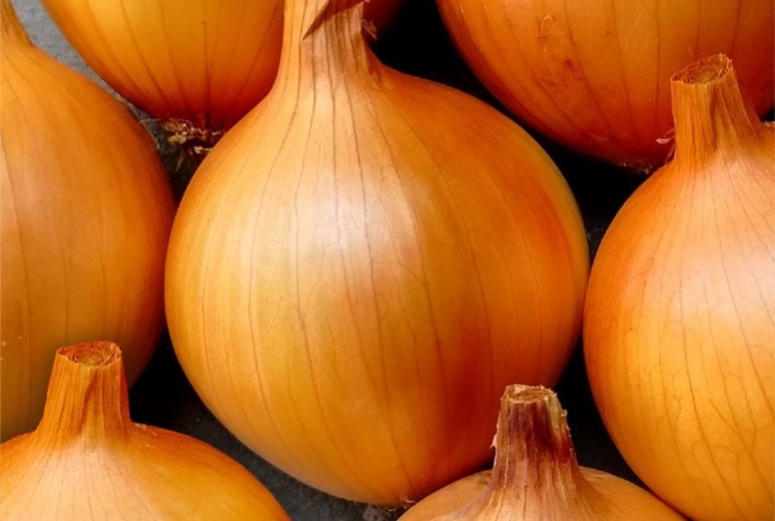 Agristar do Brasil Lança Mais de 10 Novas Soluções para Horticultura Nacional