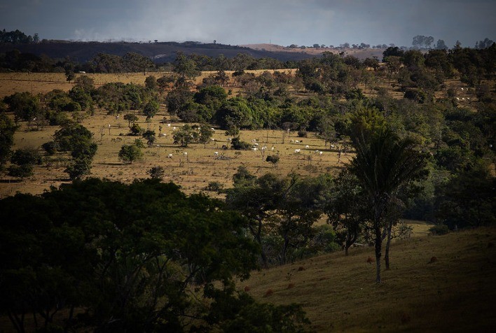 Expandindo a produção agrícola sem desmatamento