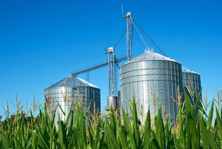 Farelo e Óleo de Milho Têm Tributação Igual à da Soja