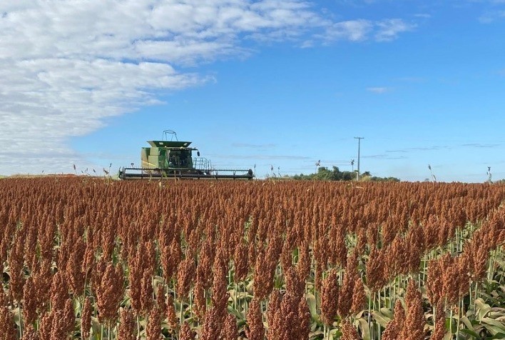 Integração de Nutrição Mineral e Micro-organismos: Um Caminho Promissor para a Agricultura Sustentável