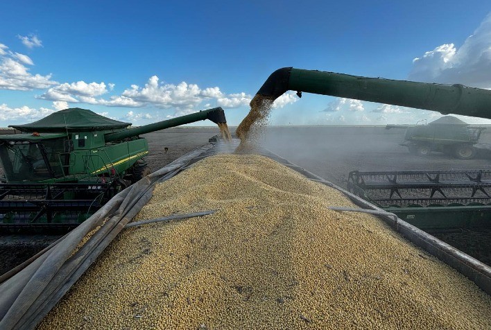 Soja: Negociações Futuras Começam a Semana em Baixa na Bolsa de Chicago