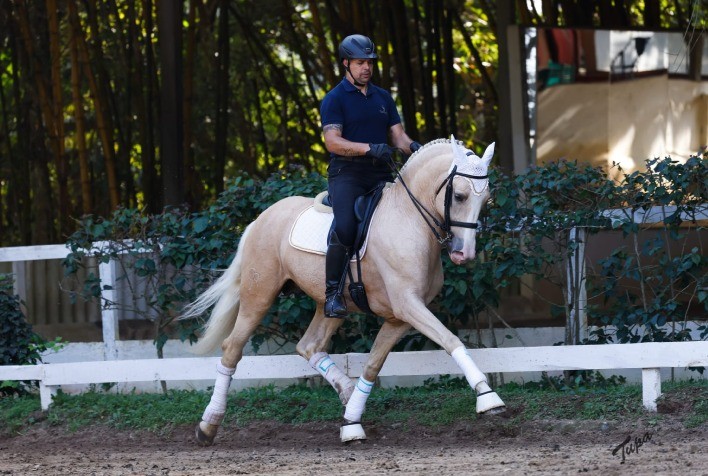 4º Leilão Genética de Campeões Será Realizado Virtualmente no Dia 6 de Agosto