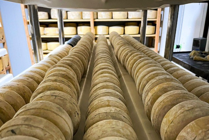 De Volta ao Campo: Empresário Troca Cidade por Queijaria