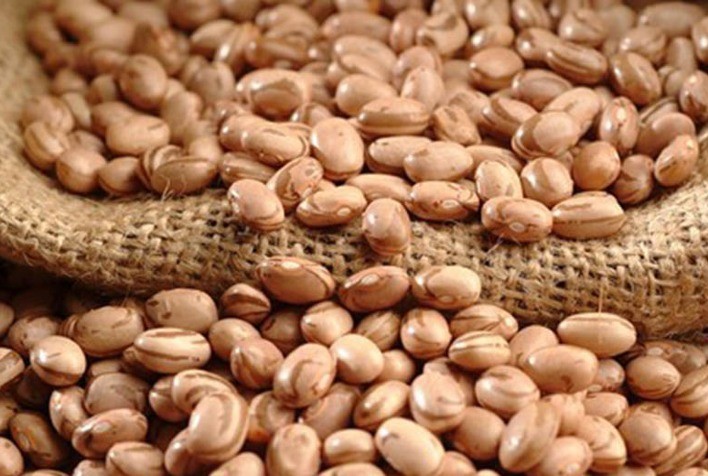 Produtores de Feijão-Carioca Enfrentam Dilemas com Preços e Produtividade