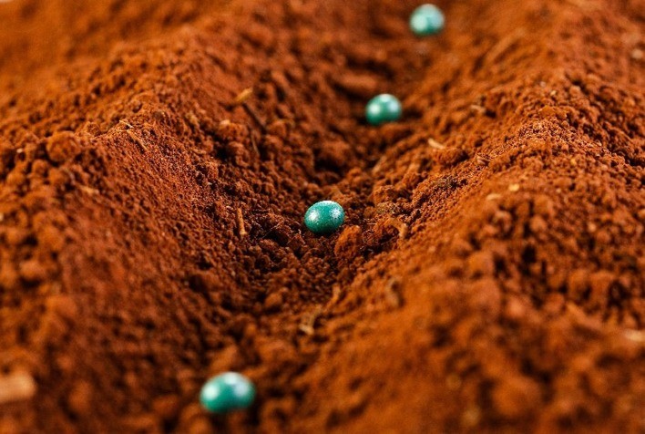 Safra 2024/2025: Como Reduzir os Riscos Associados ao Fenômeno La Niña