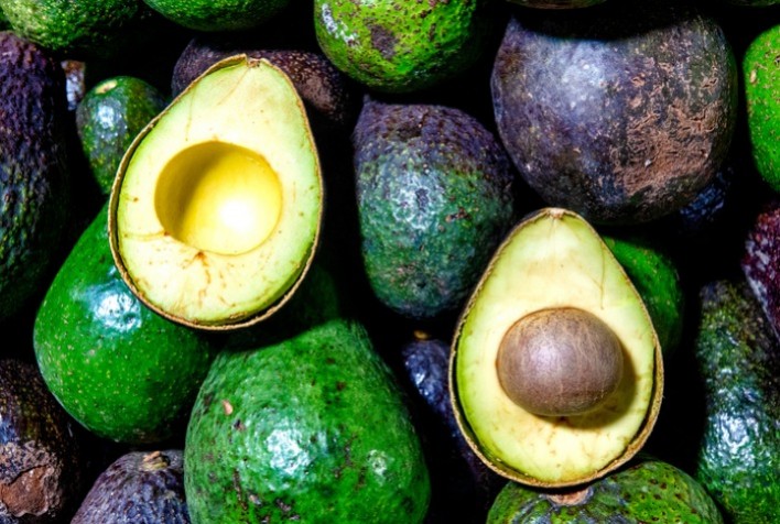 Brasil Amplia Exportação de Abacates para a Costa Rica