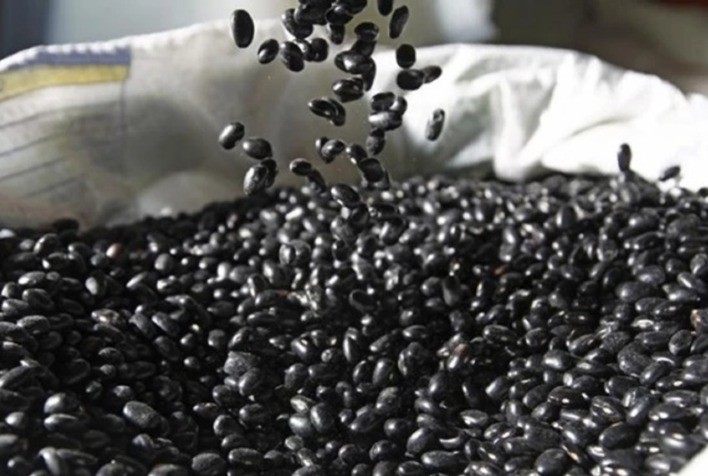 Ibrafe: Disponibilidade de Feijão-Preto Continua Baixa no Paraná
