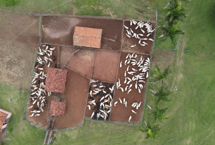 Drones Reforçam Defesa Agropecuária em Goiás