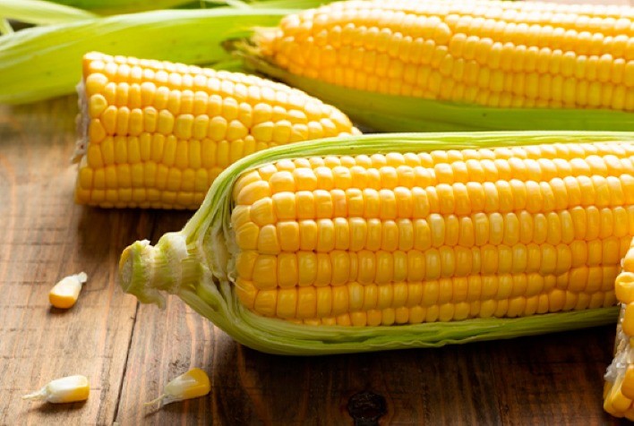 Futuros do milho iniciam sexta-feira com leve oscilação na B3