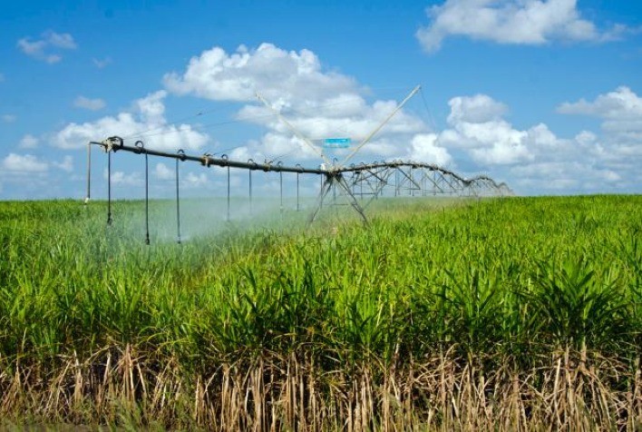 Estratégias de Irrigação para Cana-de-Açúcar: Combinação Ideal de Salvamento e Déficitária