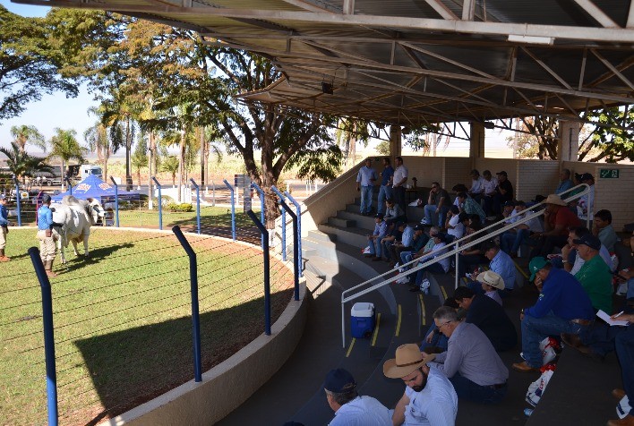 Pecuaristas de Sete Estados Avaliam Novas Tendências Genéticas em Uberaba