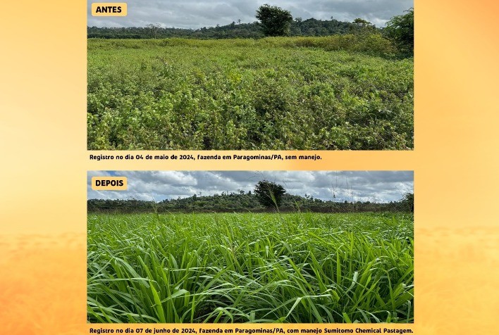 Sumitomo Chemical Lança Wrangler® para Controle de Plantas Daninhas em Pastagens