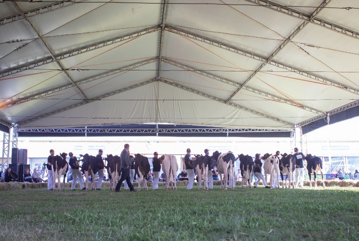 Qualidade e Produtividade Marcam Presença dos Produtores de Leite na 47ª Expointer