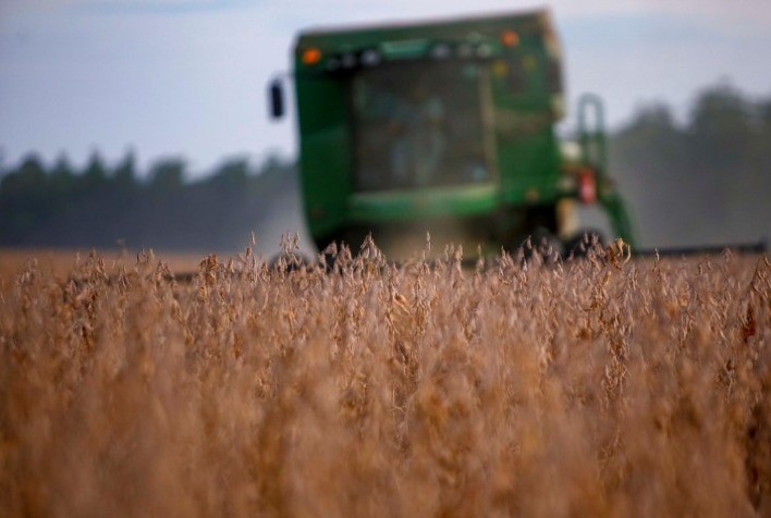 Preços da Soja Recua em Chicago e se Mantém Abaixo de US$ 10 com Perspectiva de Safra Abundante nos EUA
