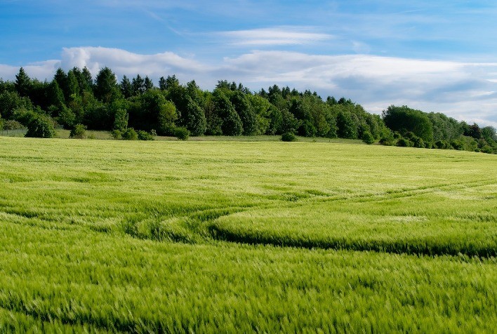 Valorização das Terras Agrícolas no Brasil Dispara e Cresce 108% em Cinco Anos
