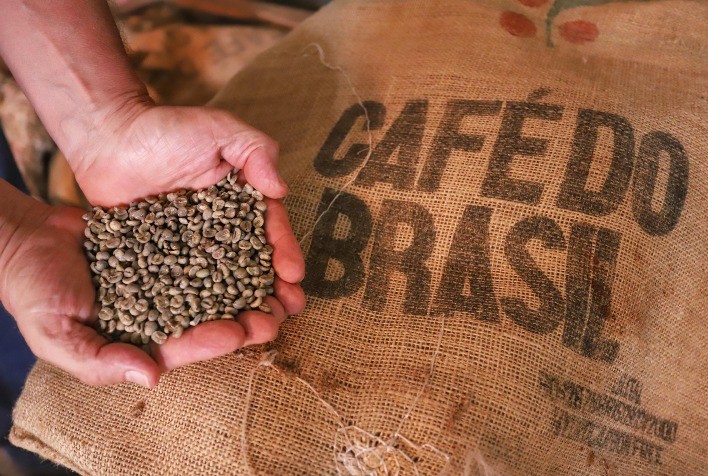 Exportações de Café do Paraná Registram Melhor Desempenho no 1º Semestre dos Últimos 12 Anos