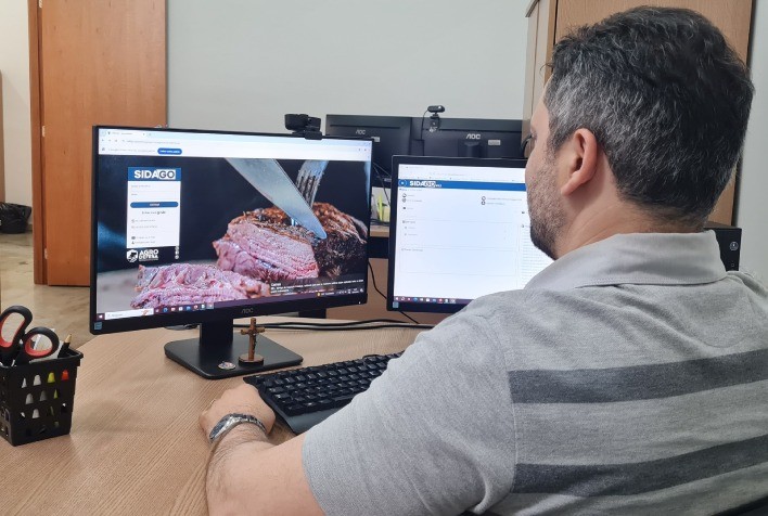 Agrodefesa Requer Cadastro de Veterinários para Vacinação Contra Brucelose no Sistema Sidago