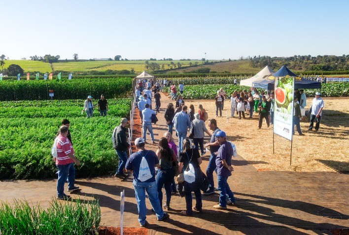Open Field Day 2024: São Paulo, Paraná e Minas Gerais se Destacam no Tradicional Evento da Agristar
