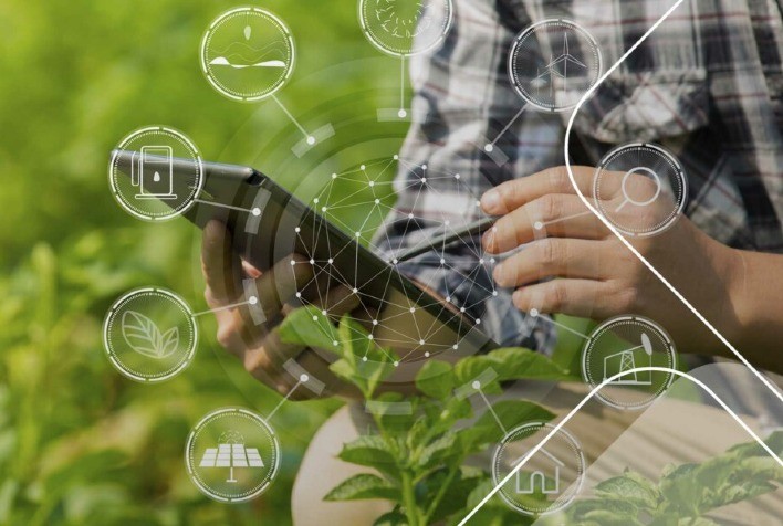 Revolução no Agronegócio: Inteligência Artificial Impulsiona Setor com Crescimento Previsto de 300% até 2024