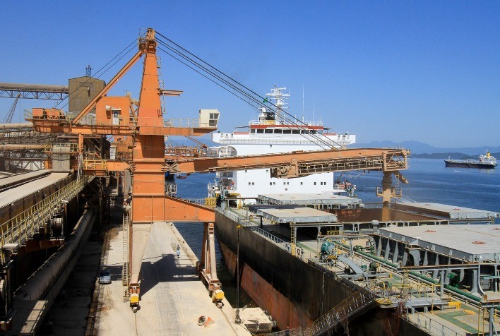 Exportações de trigo dos EUA atendem às expectativas do mercado