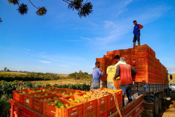 Investimentos na Agricultura do Paraná Disparam 344% no Primeiro Semestre de 2024