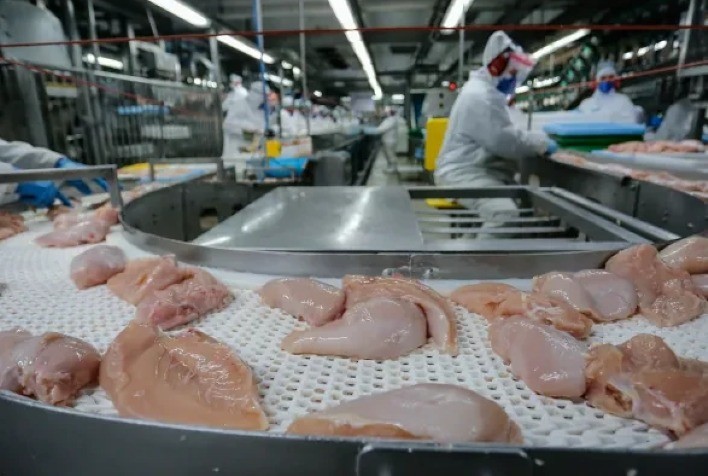 China Retoma Compras de Carne de Frango do Brasil; Suspensão de Frigoríficos do RS Continua