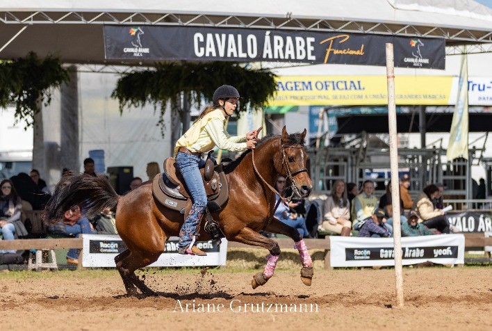 Cavalo Árabe Brilha na Expointer 2024: A Tradição da Raça Equina Mais Antiga do Mundo em Destaque