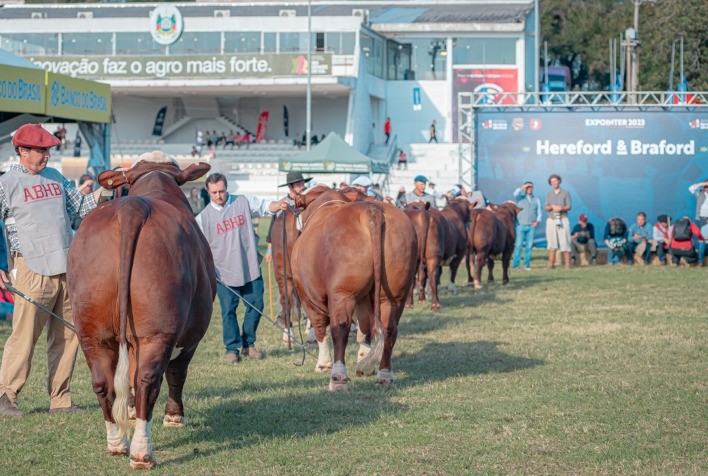 Expointer 2024: Expectativa de Qualidade e Crescimento para as Raças Hereford e Braford