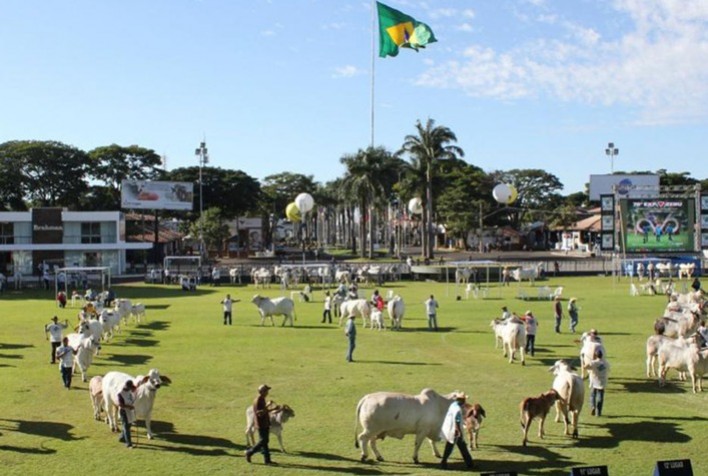 Alta Exibe Bateria de Mais de 500 Reprodutores na ExpoGenética 2024