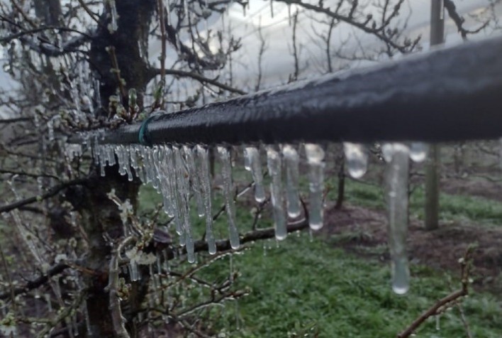 Estratégias de Irrigação por Gotejamento para Manter a Estabilidade da Produção Durante o La Niña