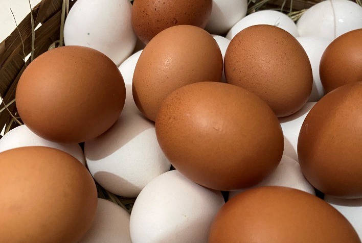Diferença de Preços entre Ovos Brancos e Vermelhos Cai para o Menor Patamar do Ano