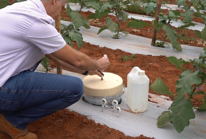 Vegetais com Controle Biológico Apresentam Menor Intensidade de Carbono em Comparação ao Cultivo Convencional