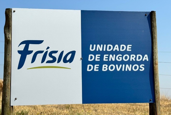 Frísia Comercializa Primeiros Bois da Nova Unidade de Engorda