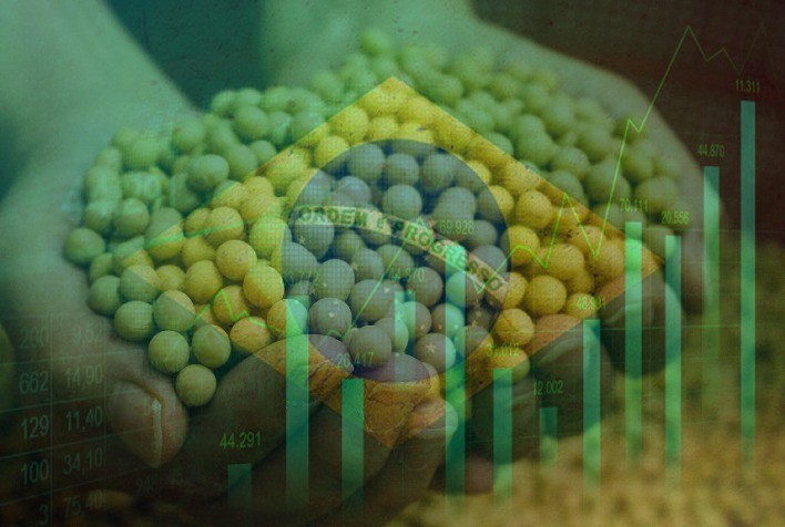 Fabrício Passini Explica Como o Setor de Sementes Impulsiona o PIB do Brasil