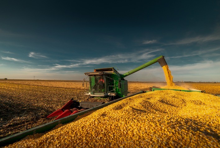 Colheita da Segunda Safra de Milho se Aproxima do Fim com Ritmo Acelerado, Aponta Conab