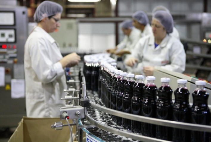 Produção Agroindustrial Registra Crescimento de 3,1% em Junho