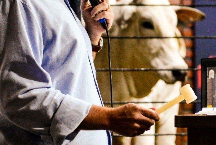 Leilões da 17ª ExpoGenética Já Superam R$ 46 Milhões em Negociações