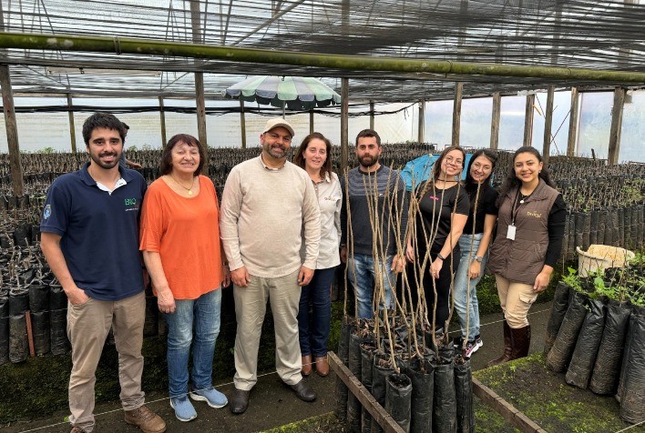 Divinut Inova com Projeto de Inoculação de Mudas de Noz-Pecã com Trufas na Expointer 2024