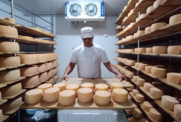 Goiás se Destaca na Produção de Queijo Artesanal com Reconhecimento Nacional