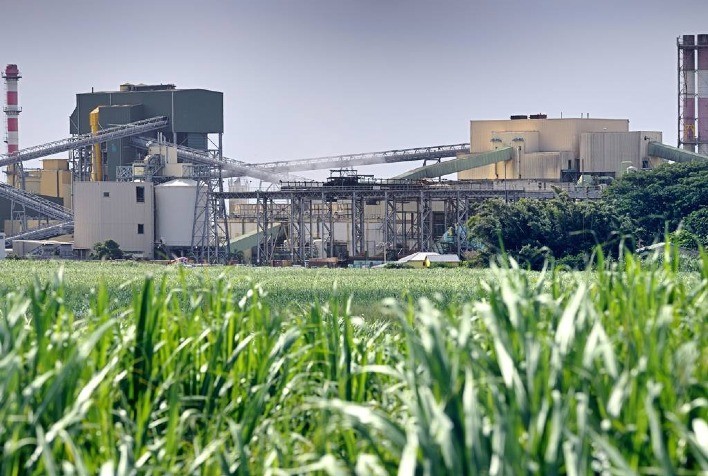 Usinas de Biomassa Buscam Participação em Leilão de Potência de Energia