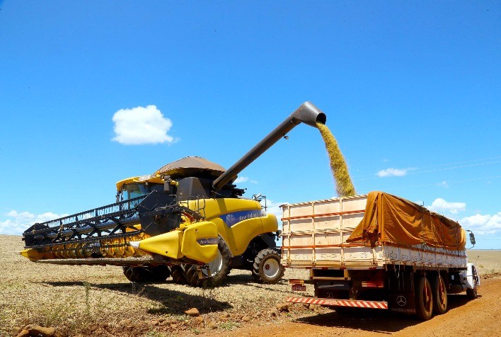 Paraná registra 35 municípios com Valor Bruto da Produção Agropecuária acima de R$ 1 bilhão